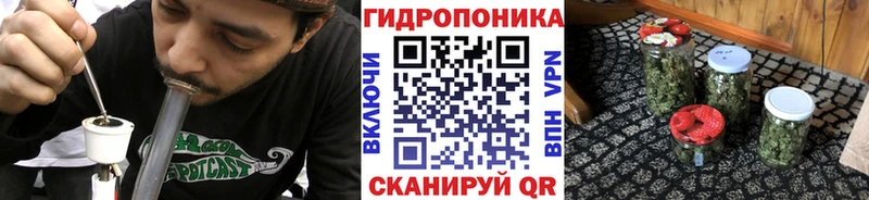 Кодеин Наволоки