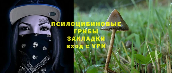 шишки Кукмор