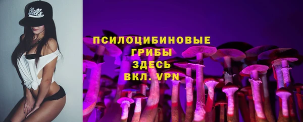 PSILOCYBIN Красноперекопск