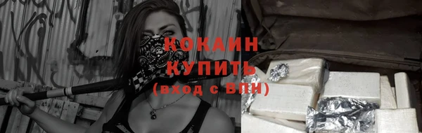 шишки Кукмор