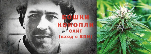 PSILOCYBIN Красноперекопск