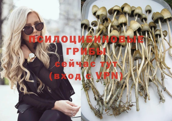 эйфоретик Краснотурьинск
