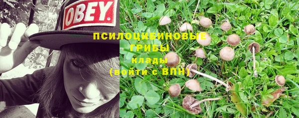 PSILOCYBIN Красноперекопск