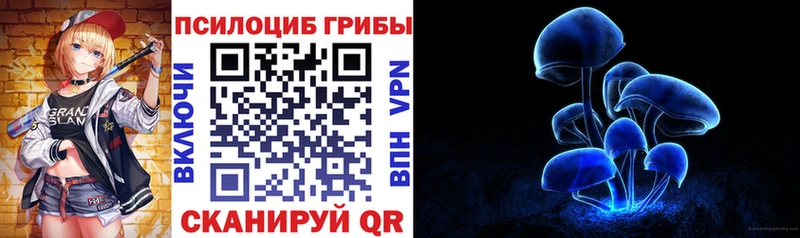 Купить где  Наволоки  Псилоцибиновые грибы мицелий 